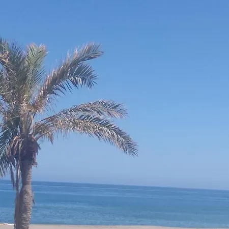 Carbomagina شقة